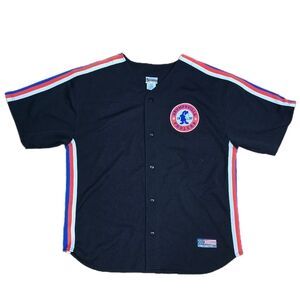 Walt Disney World Grumpy Baseball Jersey Grumpsville Foulers Embroidered Size L